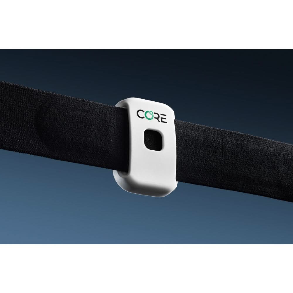 Core 2 Thermal Sensor