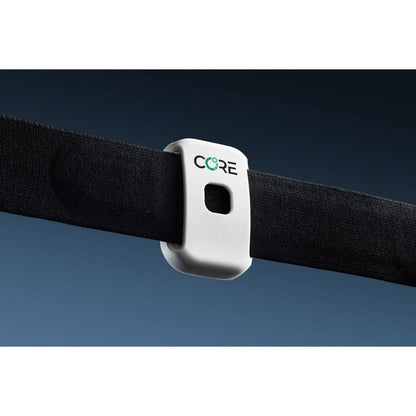 Core 2 Thermal Sensor