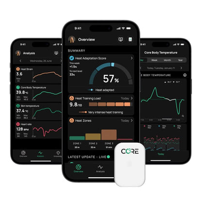Core 2 Thermal Sensor